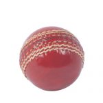 Cricket Ball